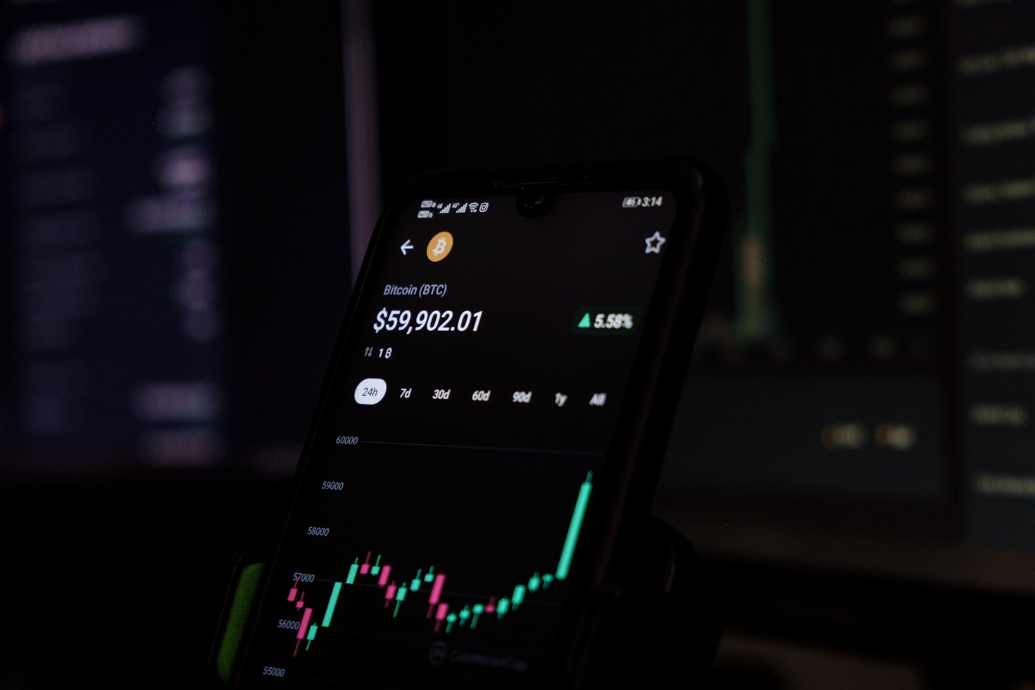 Decoding Forex Trends with Roxy Algorithms